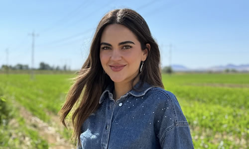 title='Inicia la carrera por la gubernatura'