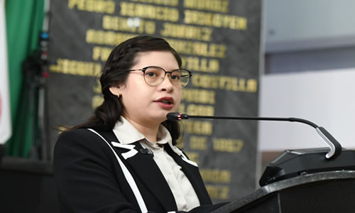 title='Aprueba Congreso por unanimidad la minuta para homologar criterios para atender el feminicidio a nivel nacional'